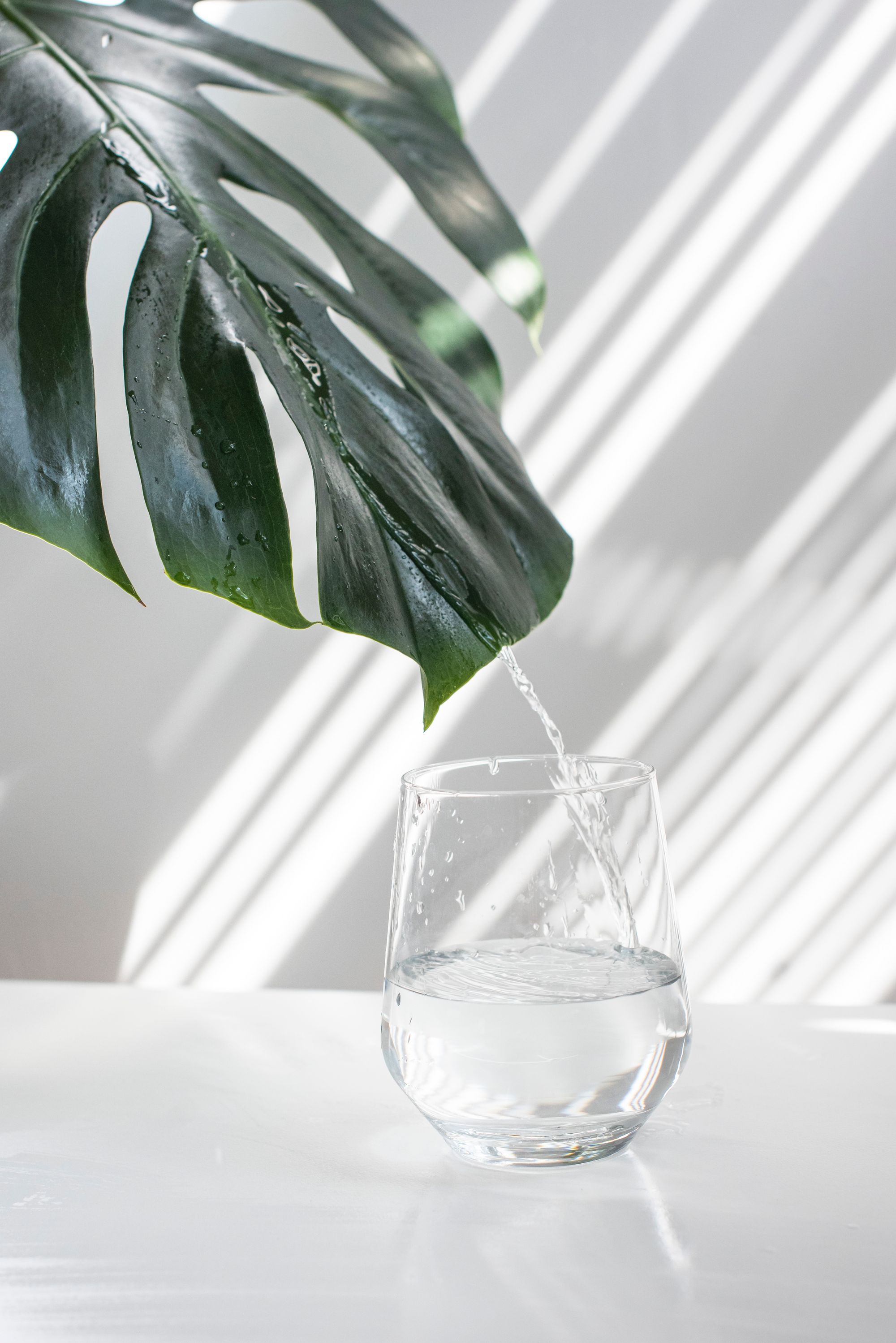 A hand holding a glass of water with a natural background