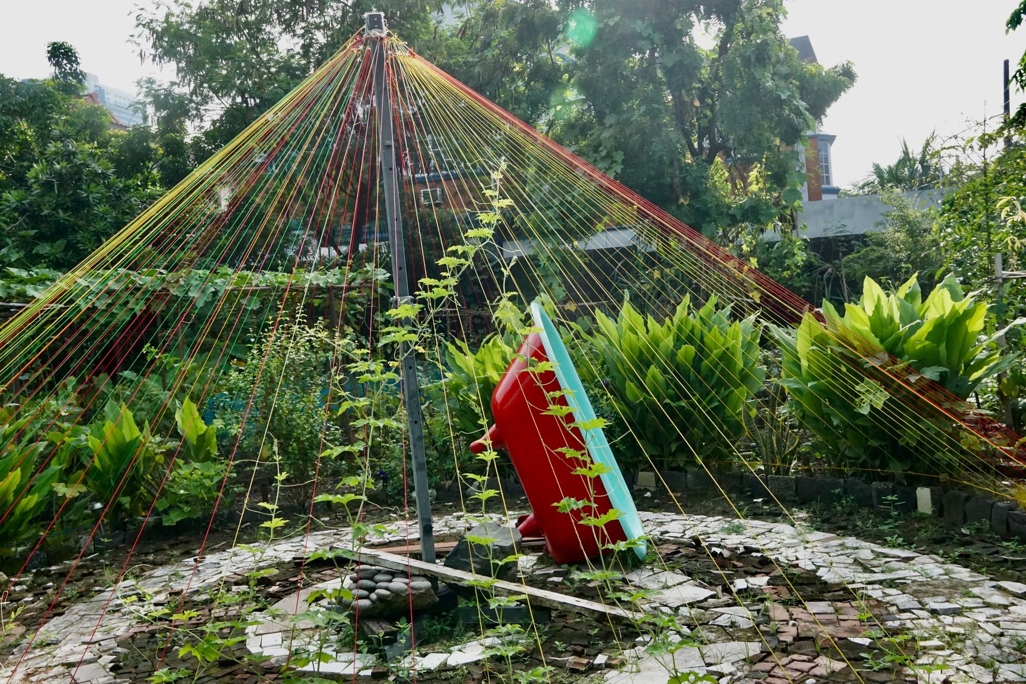 A lush permaculture garden with various plants